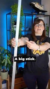 How do we define a metre? #shorts
