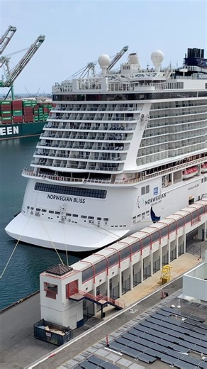 22 reactions | Have you cruised on a Norwegian Cruise Line...