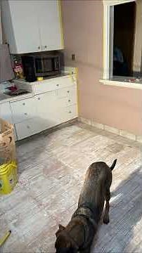 I Never Thought I’d Sell My Whole Gun Collection… But This Happened… #diy #fortheboys #satisfying