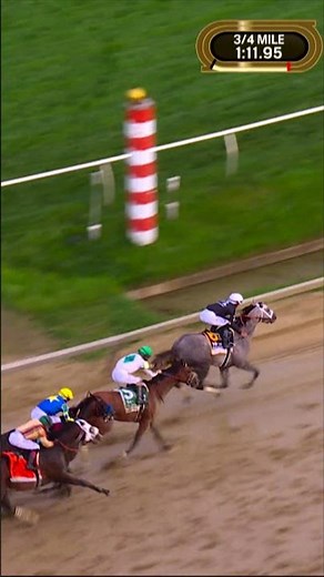The ending of the 149th Preakness Stakes 🏇🌻
