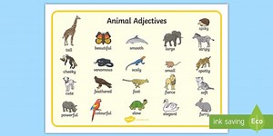 Animal Adjectives Word Mat