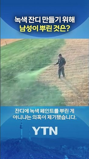 잔디 누렇다고 녹색 페인트를? #shorts / YTN
