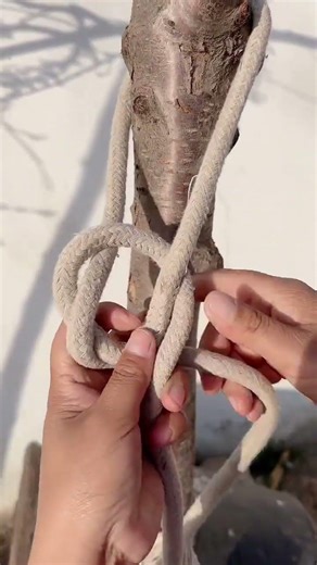 # Funny Joke Innovation Challenge Competition