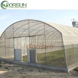 [Hot Item] Garden Polytunnel UV Disinfecting Water Small Tabletop Plastic Greenhouse for Tropical Climate Lettuce