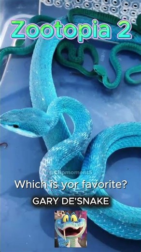 Look at These Cute Baby Animals of Zootopia 2 #Zootopia #disney #animals #funny #cute #animallife