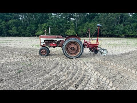 Farmall 404 Planting Last Corn of the Year