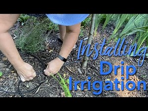 Installing Drip Irrigation For New Trees and Shrubs - 🌳💦🌳