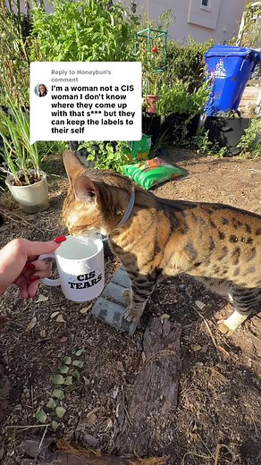 Replying to @Honeybun So close to discovering that words have definitions… maybe next level you’ll unlock a dictionary. #cisisnotaslur #transwomanarewoman #transrightsarehumanrights #transgender #transgirl