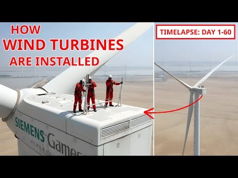 Inside a Giant Wind Turbine Factory: How 100-Meter Blades Are Made
