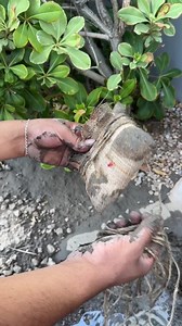 1.4M views · 1.8K reactions | The worker discover a mysterious package under the mud! | Skits & Situations | Facebook