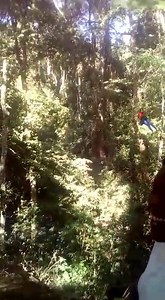 2.1K views · 15 reactions | The Adventure Never Ends Inside Camp Ndunda Come Explore With Us In 2019. Three Parks In One. Family Friendly Park. Affordable Vacation Spot. All-Star Season Concerts. Types: Packages, team building among others contact us on 0798884410 | Camp Ndunda Falls Embu County | Facebook