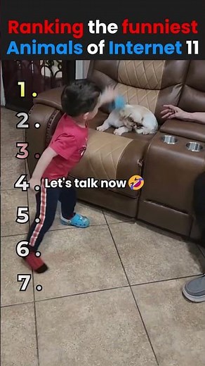 ranking the funniest animals 11😂 #fails