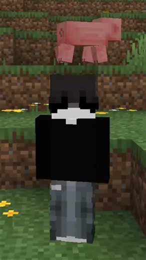 scripted smp #unstablesmp #unstable #unstableuniverse #wemmbu #flamefrags#parrot#spoke #lifestealsmp