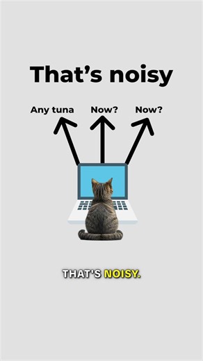 Web Sockets, explained by cats. #cat #code #socket #web #realtime