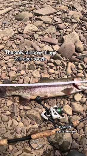Rainbow Trout: The Best Fish for Spring Fishing
