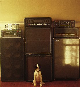 Whirr – Distressor (2012, 320 kbps, File)