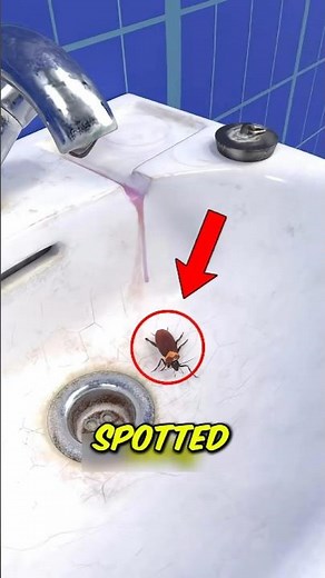 Never Vacuum a Cockroach! Here's Why 😱🪳 #LifeHacks #DidYouKnow #Shorts