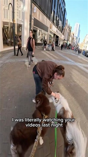Interactions with my dog!! #dogshorts #violasnow #viral #famous #yuki #pets #repost #duet