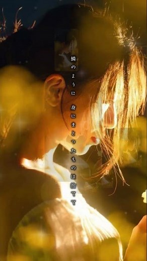 鱗 #歌詞付き #歌詞動画 #秦基博