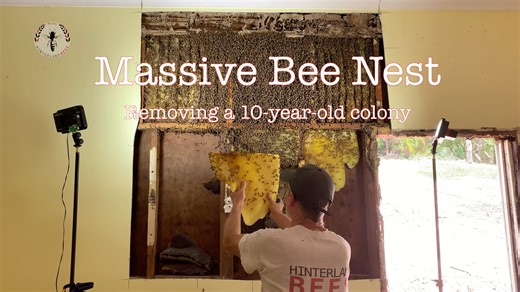 183K views · 4.5K reactions | Few things surpass the magnitude of...