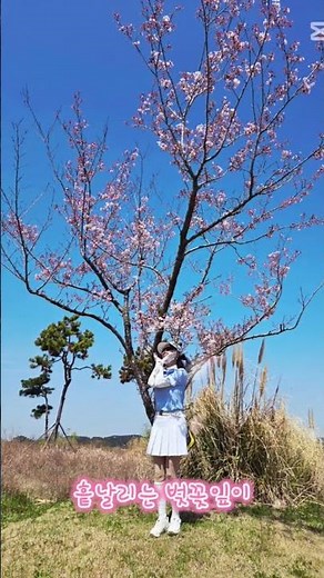 #마지막 벗꽃란딩#진해신항cc(구.아라미르)#골프