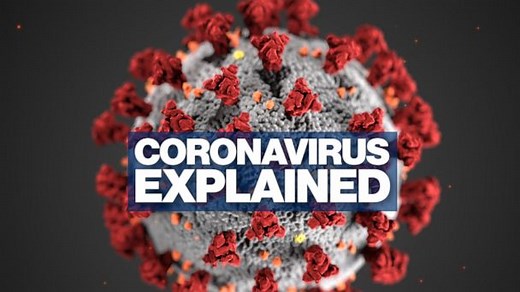 Coronavirus explained