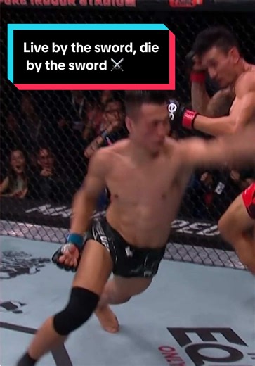 Max Holloway Knocks Out The Korean Zombie at UFC Singapore