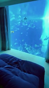 2.2K views · 12 shares | Underwater Hotel Suit - Dubai | Amazing Videos | Facebook