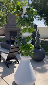 These plants were LIVIIIING this fall 🙌 Shout out to our growers on their growth harvests! Now that winter is officially here, we're ready to swap seedlings for some varieties that can best withstand the coldest season of the year, like broccoli, cauliflower, and cabbage. We can't wait to see your progress along the way! Tag us @LettuceGrow so we can help cheer you on. ⁠ Featured Growers from IG:⁠ @no2pencilblog⁠ @mattiejbush⁠ @jessicakaykeller⁠ ⁠ #LettuceGrow | Lettuce Grow