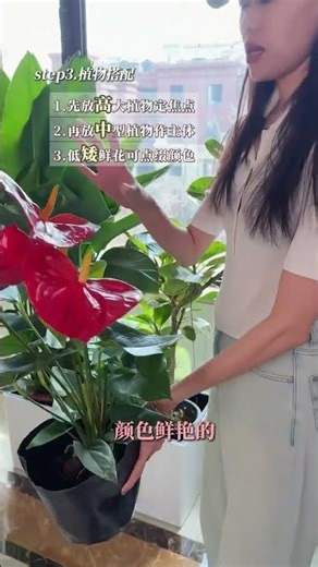 Turn Your Balcony into a Mini Garden: DIY Flower Boxes Guide