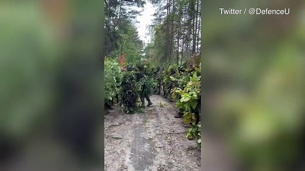 Ukrainian defence has called an 'Ents' mobilisation to fight the Russian army