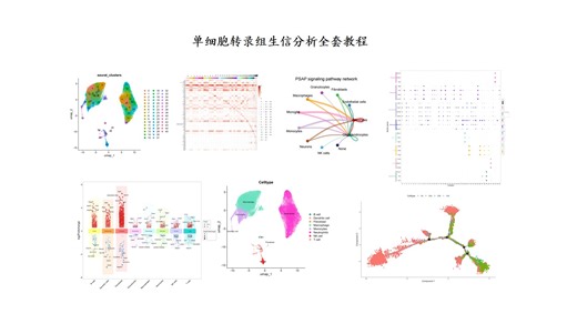 单细胞转录组生信分析-16.1 拟时序分析(解决igraph包版本冲突问题）