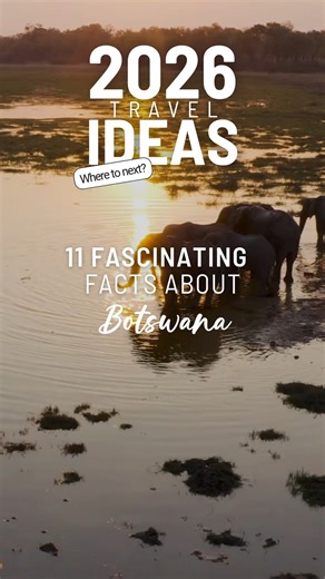 Wild, peaceful, and quietly extraordinary, Botswana is one of Africa’s great success stories. Renowned for its commitment to conservation, political stability, and low-impact tourism, it offers a safari experience that feels both exclusive and deeply respectful of nature. These fascinating facts reveal why Botswana continues to captivate travellers who value authenticity, space, and meaningful encounters. 👉 Read more and discover what makes Botswana truly special. https://vivaexpeditions.com/bl