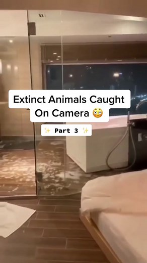 Extinct Animals Caught On Camera 😳