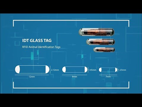 Demonstration of RFID Glass Injectable Tags for animal tracking. | How to apply glass tag in pets.