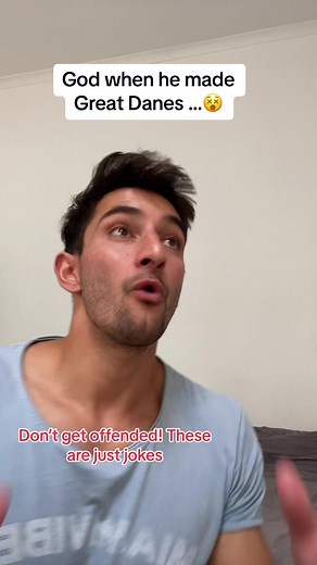 The Hilarious Truth About Great Danes | Funny Dog Breeds