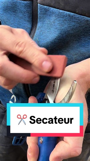 Conseils d'entretien pour votre sécateur de jardin en hiver