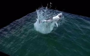 Realflow入门视频教程