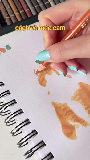 How to Draw a Cat: Step-by-Step Illustration Guide