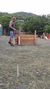 Bull Terrier Training Compilation #bullterrier | Working Bull Terriers Kennel