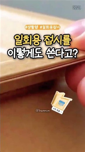일회용 접시를 이렇게 쓴다고?#다이소