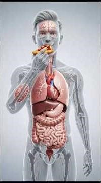 “The Shocking Side Effects of Pizza on Your Body”