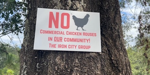 Seminole County farmers and residents say no to commercial chicken houses