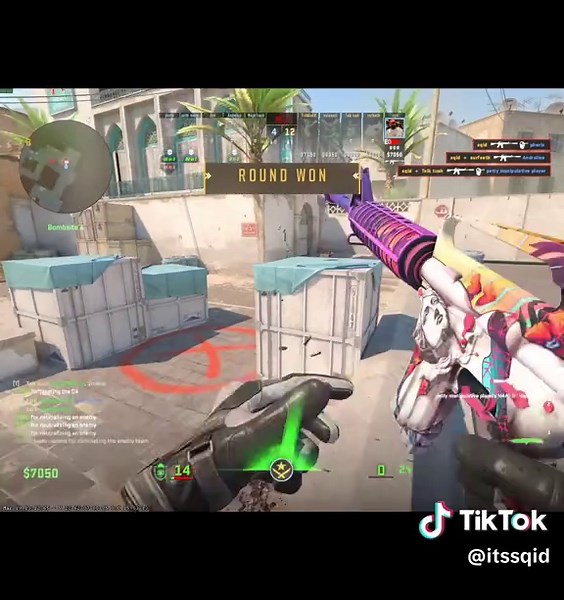 Counter-Strike 2 Pro Player Aims for Worlds