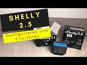 Configure Shelly 2.5 as a roller shutter control and connect it to the voice assistant