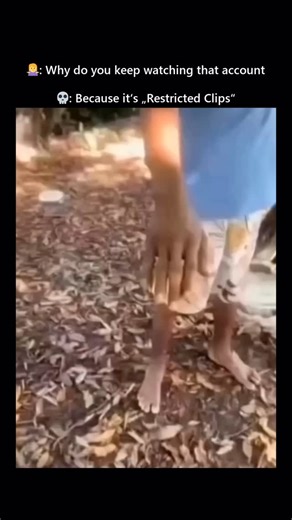 Restricted Clips Only on Instagram: "Follow @restricted.clips @restricted.clips for more💀 日本利用压电瓷砖将脚步转化为电能。这些瓷砖捕捉来自你脚步的动能。当你行走时，你的重量和动作会对瓷砖产生压力。瓷砖会轻微弯曲，从而产生机械应力。瓷砖内部的压电材料将这种应力转化为电能。每一步都会产生少量电荷，而数百万步结合在一起就能产生足够的电力来驱动 LED 灯、数字显示屏和传感器。在像涩谷车站这样繁忙的地方，每天大约有 240 万个脚步为这一系统作出贡献。这些电能可以被储存或立即使用，从而减少对传统电力来源的依赖，并支持可持续的城市基础设施。这种方法将日常运动转化为实用的可再生能源 #日本 #知识 #事实 #你知道吗 #推荐 科技 创新 历史 技术 实验 热门"