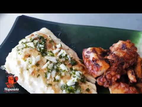 Are you looking for the best excursions in Punta Cana?