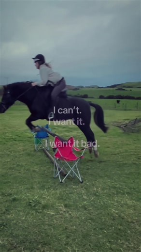 this sport #horsegirl #welshpony