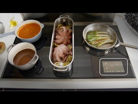 The New Wolf Induction Cooktops 2025