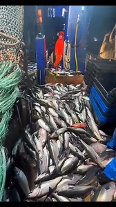 Boys on the Debra C are bringing them in HAND OVER FIST👊👊 Victor Camacho | Hand Overfist